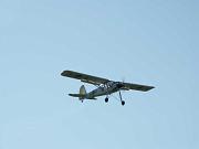 am_flugplatz_mit_storch_und_piper_088